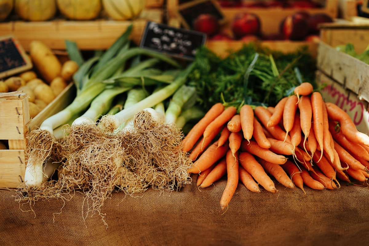 Salud articular y nutrientes esenciales